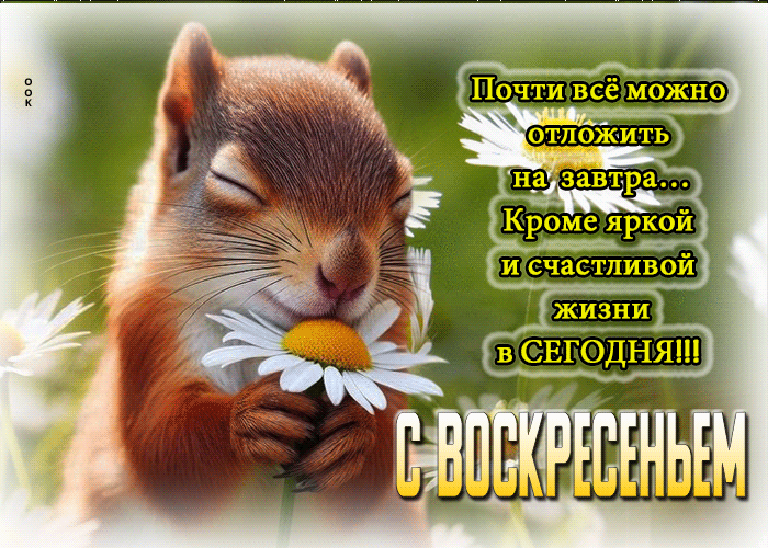 Postcard с воскресеньем! живи яркой жизнью сегодня