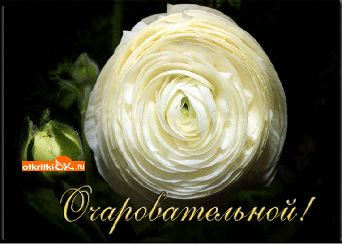 Открытка самой очаровательной женщине