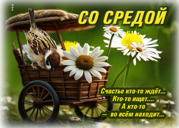 Postcard счастье кто-то ждет,  кто-то ищет, а кто-то во всем находит