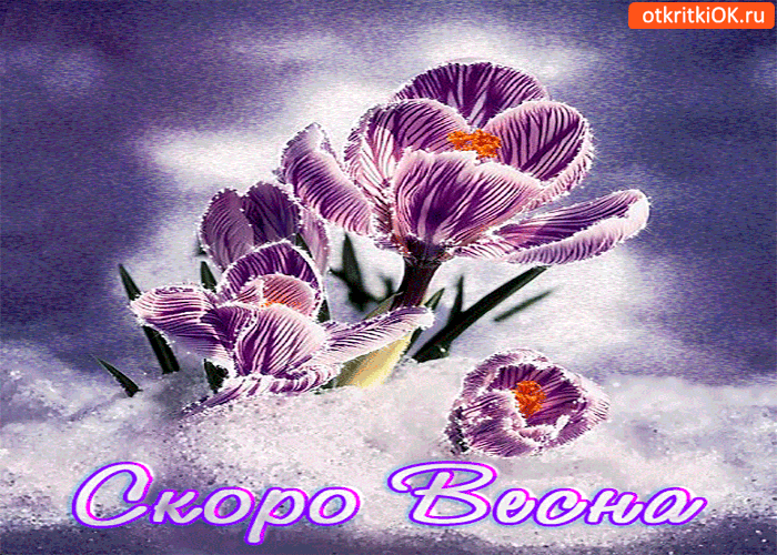 Картинка скоро уже весна