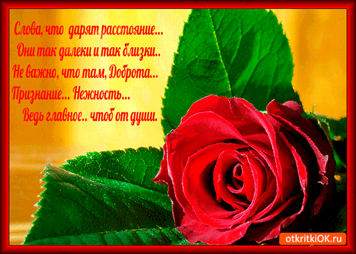 Картинка слова что дарят расстояние