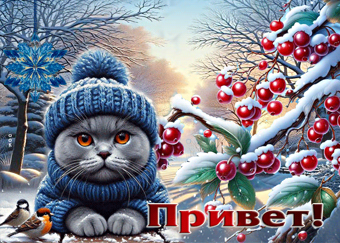 Picture снежная гиф-открытка с котиком привет