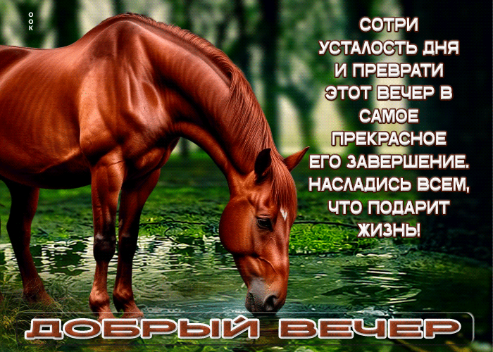 Postcard сотри усталость и преврати этот вечер в самое прекрасное его завершение