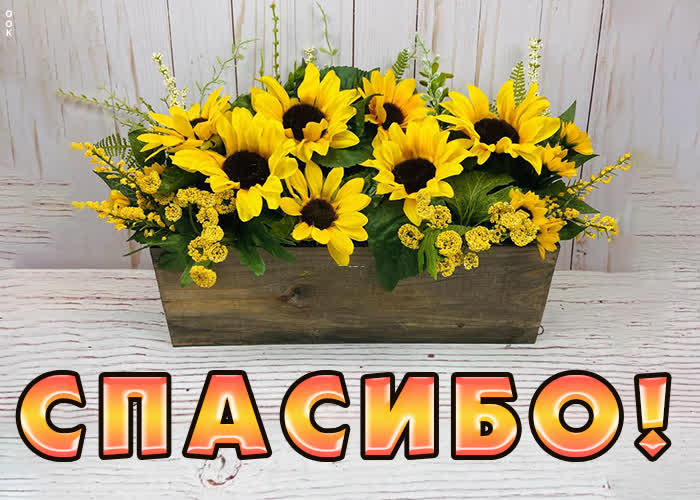 Картинка спасибо что не забываете
