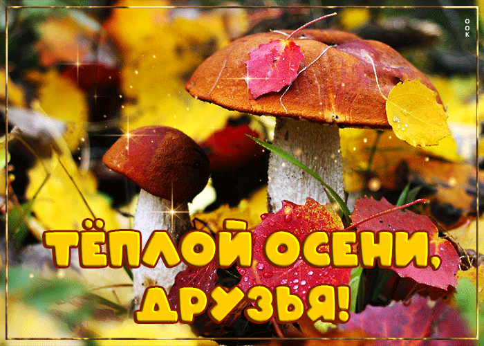 Открытка спасибо тебе за дружбу