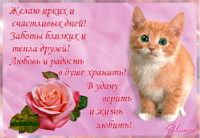 Картинка стихи день счастья