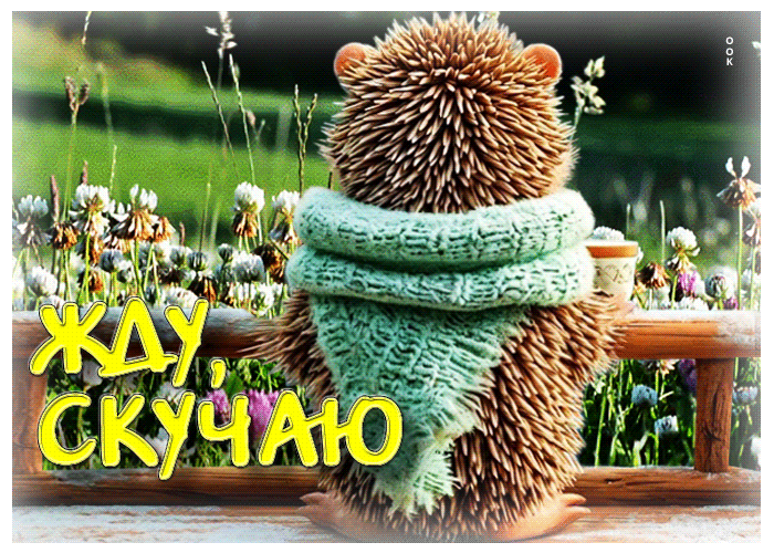 Picture светлая и уютная гиф-открытка жду, скучаю