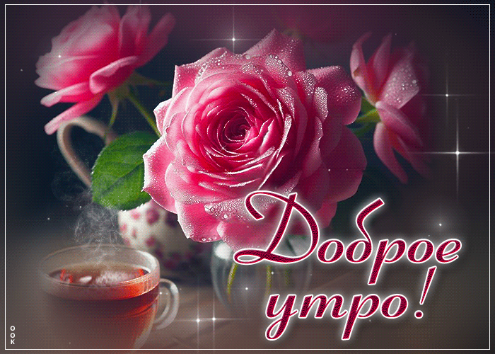 Postcard талантливая гиф-открытка с розами доброе утро