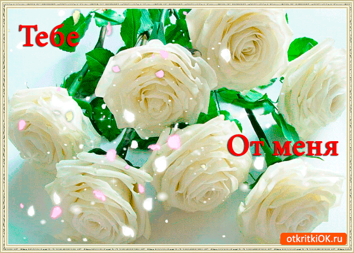 Открытка тебе от меня розы
