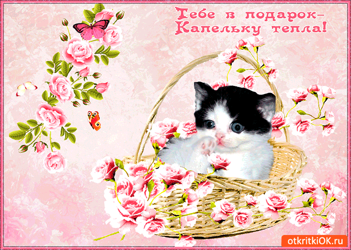 Открытка тебе в подарок корзина нежности