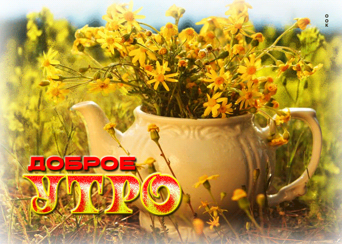 Postcard творческая и жизнерадостная гиф-открытка доброе утро