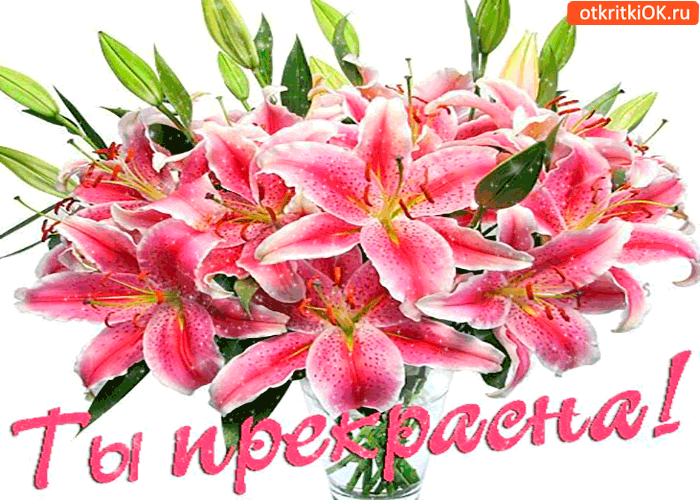 Картинка ты прекрасна словно лилия