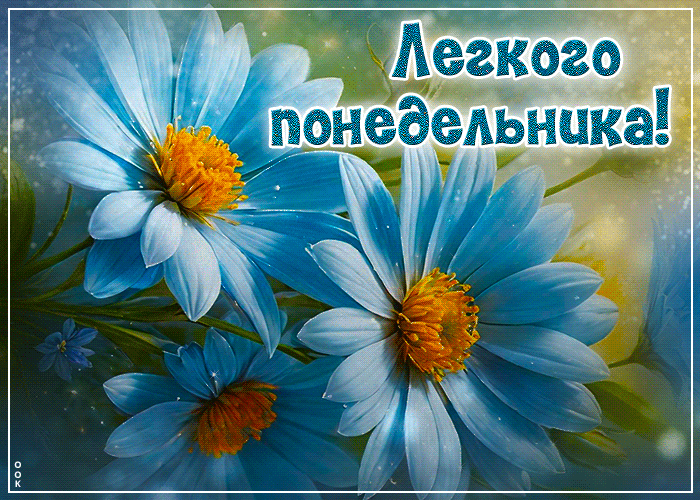 Picture тёплая гиф-открытка с ромашками легкого понедельника