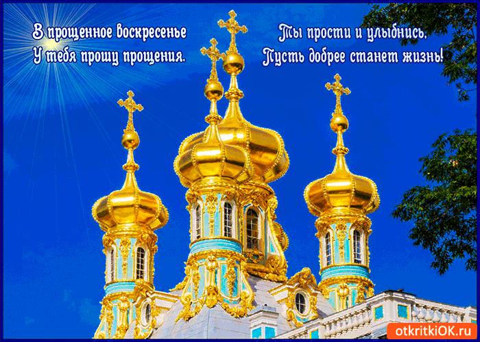 Открытка у тебя прошу прощения