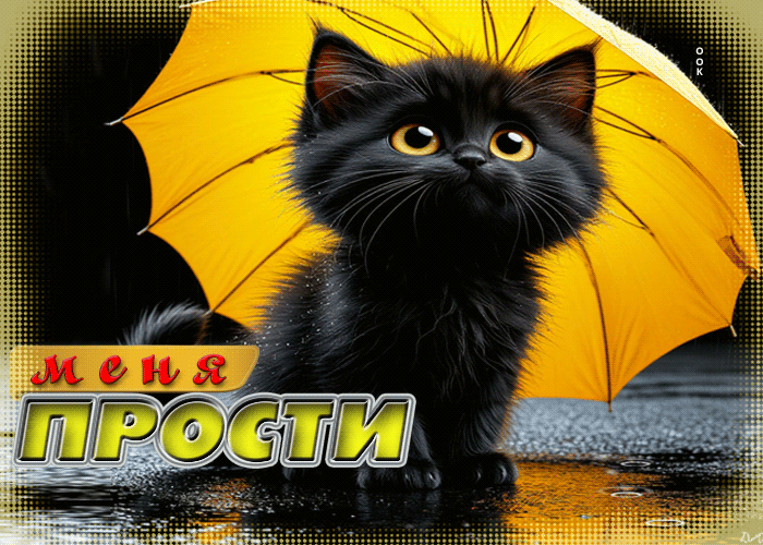 Picture удивительная гиф-открытка с котенком меня прости