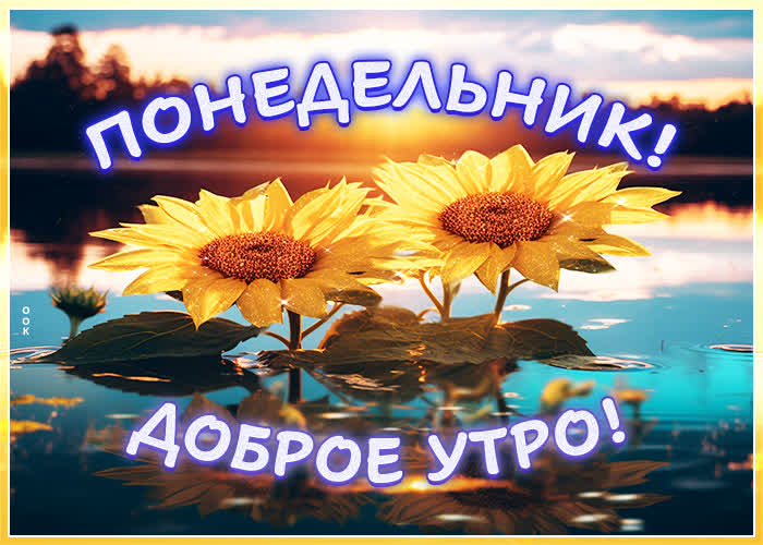 Postcard уникальная открытка с подсолнухами доброе утро! понедельник