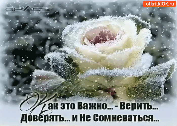 Картинка важно только верить