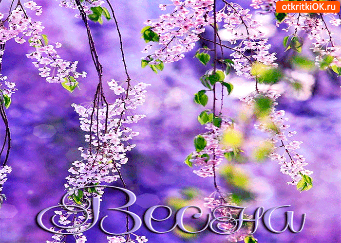Картинка весна цветущая