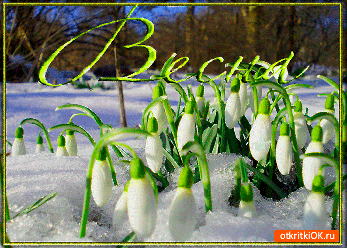 Открытка весна время мечтать