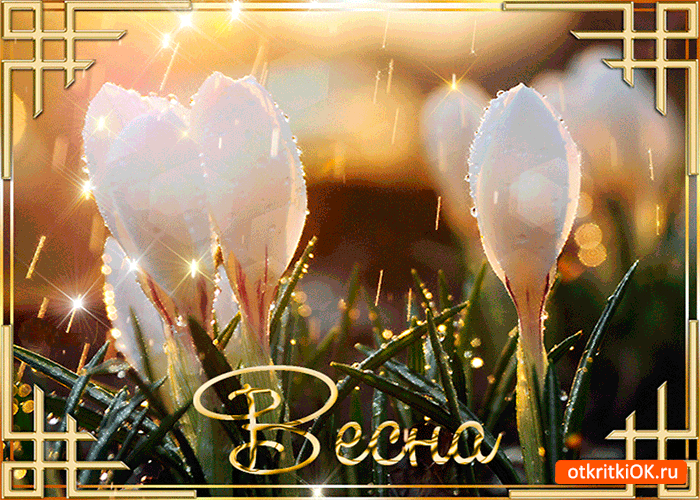 Открытка весна зелёная