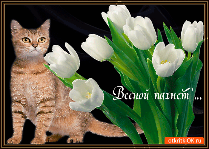 Открытка весною уже пахнет