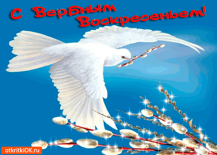 Открытка веточку вербы на счастье дарю