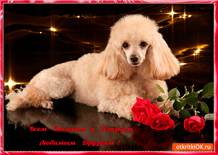 Открытка всем близким и любимым друзьям