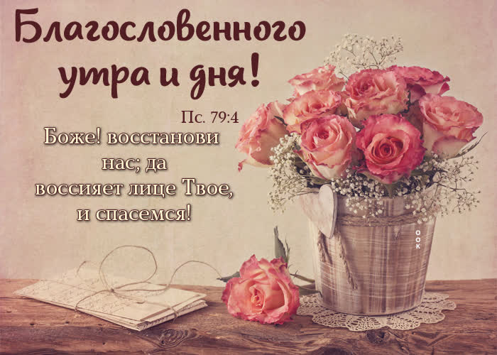 Picture хорошая картинка благословенного утра и дня!