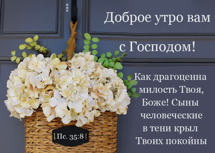 Picture хорошая картинка доброе утро вам с господом!