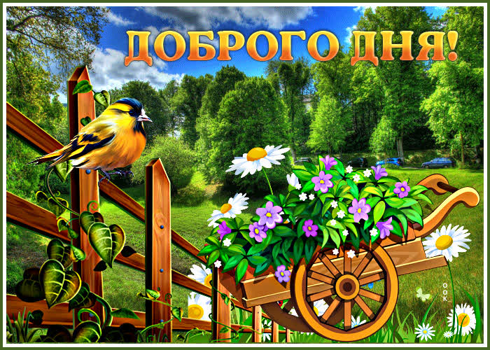 Postcard хорошая картинка доброго дня! с птичкой