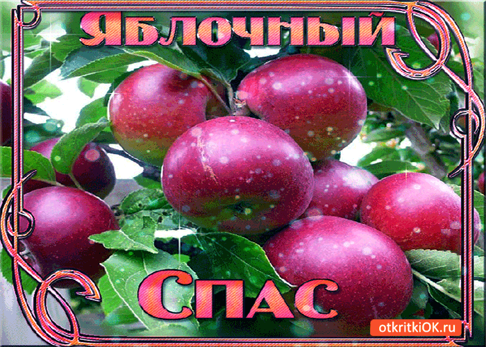 Открытка яблочный спас - дарю тебе свежих яблок