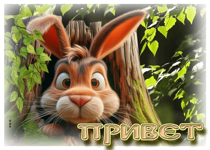 Picture яркая гиф-открытка с зайчиком привет