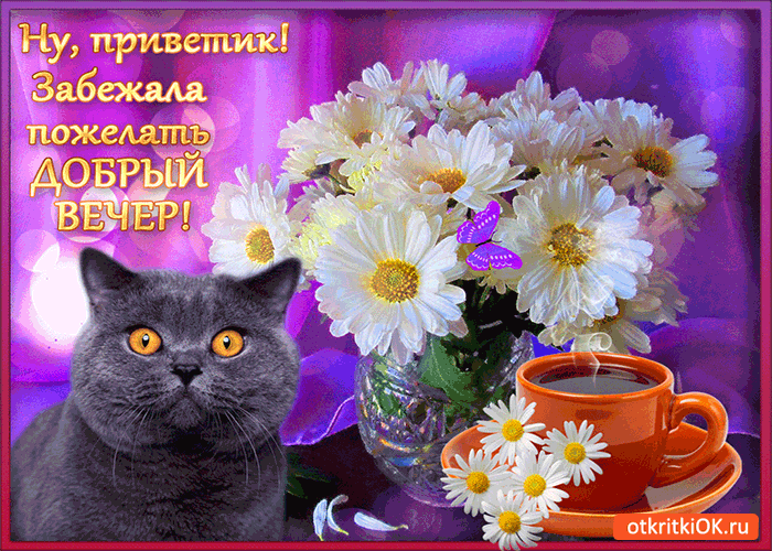 Открытка забежала пожелать добрый вечер!