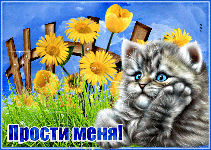 Picture замечательная открытка с кошечкой прости меня!