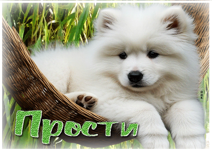 Postcard завораживающая летняя гиф-открытка прости