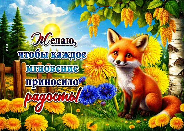 Picture желаю, чтобы каждое мгновение приносило радость