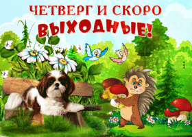 -