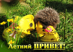 -